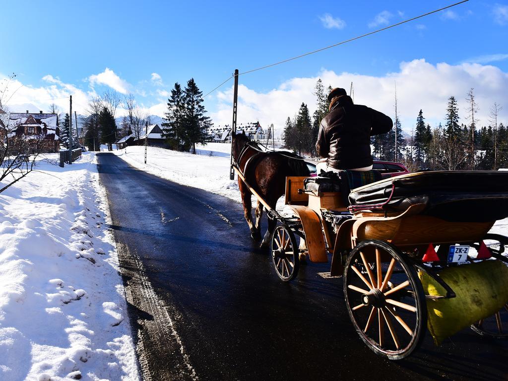 Zwijaczówka Zakopane Exterior foto