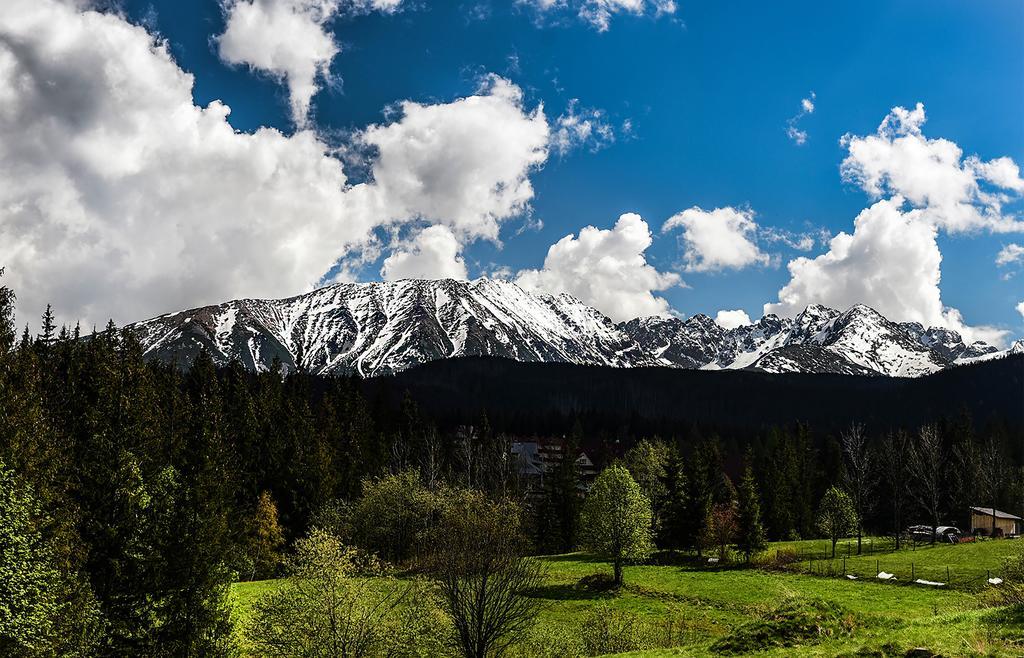 Zwijaczówka Zakopane Exterior foto